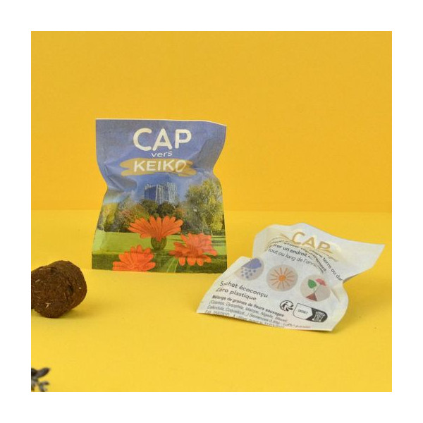 Palet à graines en papillote