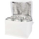 Sac isotherme Spectrum non tissé recyclé GRS 4L pour 6 canettes - Accessoire écologique pour vos boissons fraîches