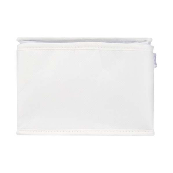 Sac isotherme Spectrum non tissé recyclé GRS 4L pour 6 canettes - Accessoire écologique pour vos boissons fraîches