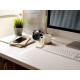 KAIRON. Set de bureau 2 en 1, fabriqué à partir de papier 100 % recyclé, avec 6 blocs-notes autocollants