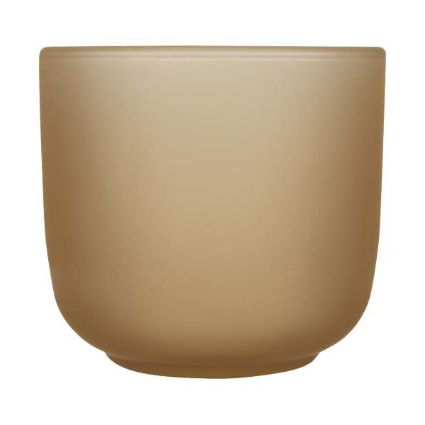 Plateau de service en bois et tasses en verre Male - Finition mate - BCM Goodies