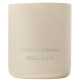 Bougie parfumée Wellmark 100% cire de soja - 3 parfums disponibles - Personnalisable