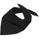Bandana triangle Daiber personnalisé pour entreprise - BCM Goodies