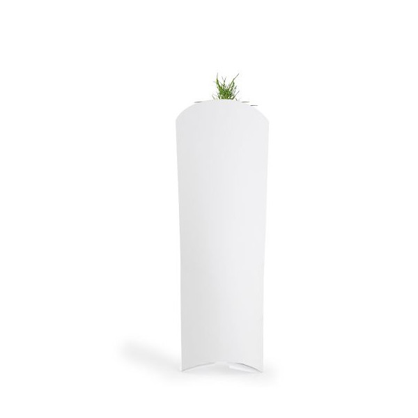 Plant d’arbre personnalisable en étui carton – Objet publicitaire écologique pour communication B2B | BCM Goodies
