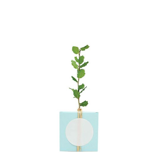 Cube Arbre PRESTIGEs personnalisable – Goodie écologique pour communication d’entreprise et événements professionnels
