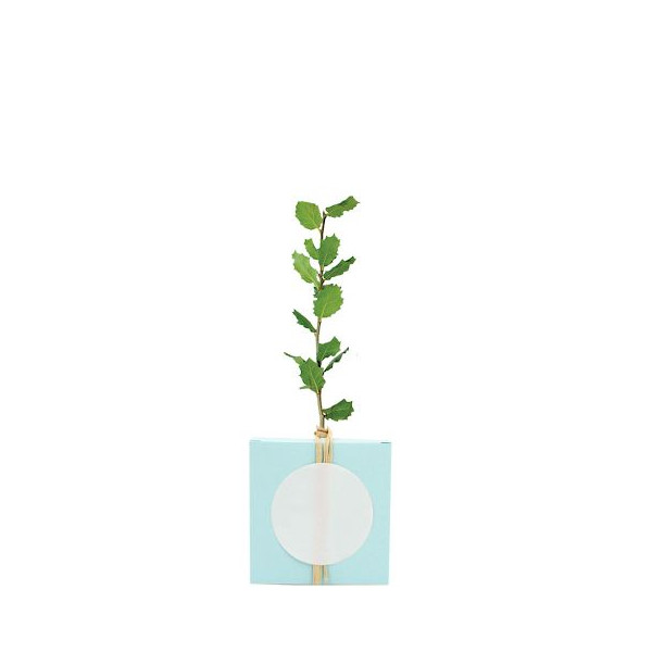Cube Arbre PRESTIGEs personnalisable – Goodie écologique pour communication d’entreprise et événements professionnels