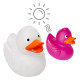 Canard Magique MBW - Objet Publicitaire Ludique et Personnalisable | BCM Goodies