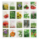 Sachet de graines standard 60x80 mm – Goodies d’entreprise personnalisables pour communication événementielle