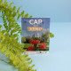 Sachet de graines écoconçu 82x110 mm personnalisable – Goodies responsable pour communication d’entreprise