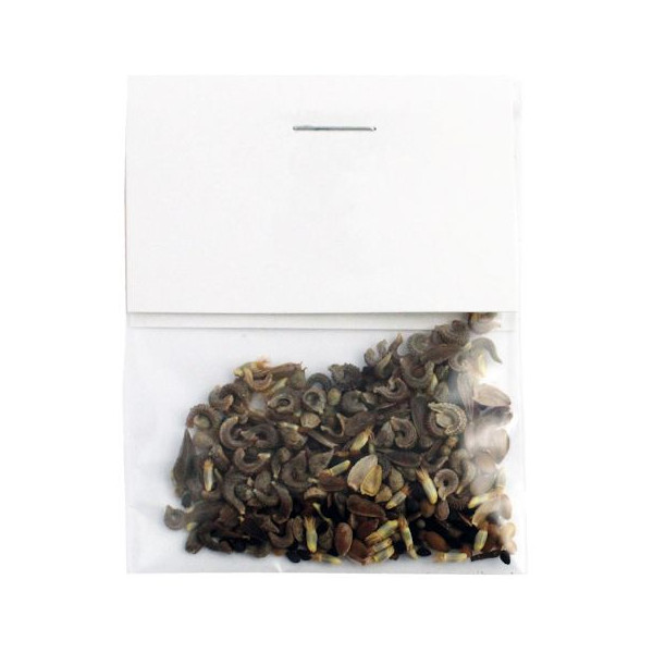 Sachet graines transparent personnalisable avec cavalier – Goodies entreprise pour événements et communication – BCM Goodies