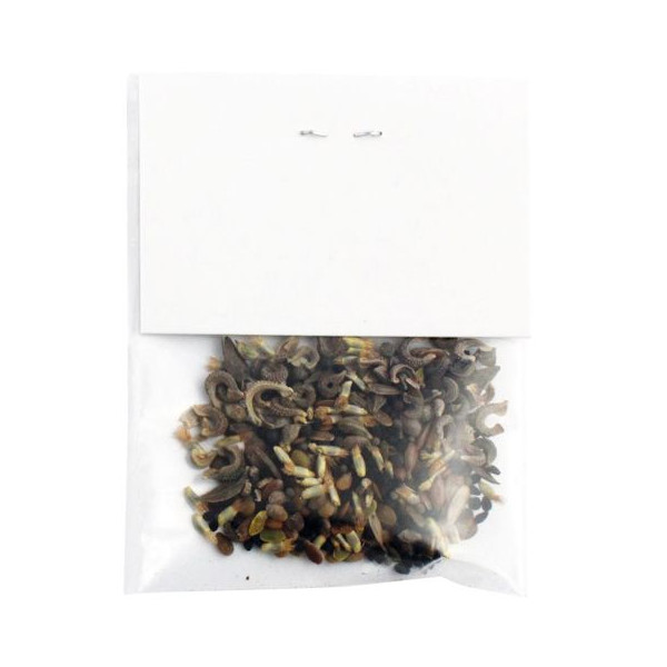 Sachet graines transparent personnalisable avec cavalier – Goodies entreprise pour événements et communication – BCM Goodies