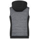 Bodywarmer matelassé hybride Femme Daiber - Vêtement polyvalent et élégant | BCM Goodies