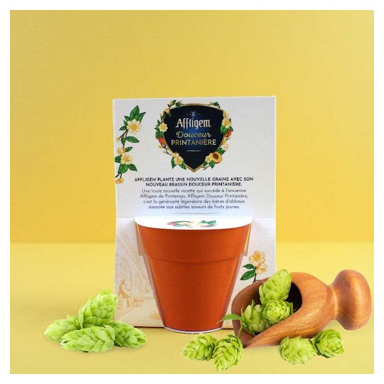 Kit pot en fibre de bambou personnalisable avec graines ou bulbes – Goodies écologiques pour entreprises | BCM Goodies