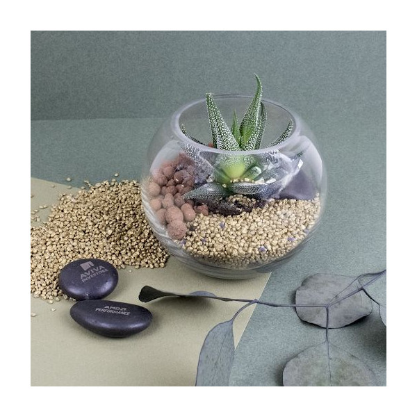 Terrarium DIY Petit modèle personnalisé – Goodies d’entreprise écoresponsable pour communication et événementiel B2B