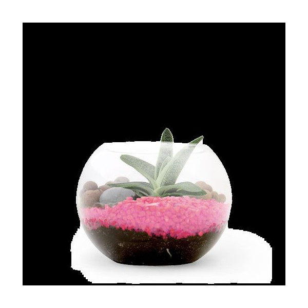 Terrarium DIY Petit modèle personnalisé – Goodies d’entreprise écoresponsable pour communication et événementiel B2B