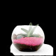 Terrarium DIY Petit modèle personnalisé – Goodies d’entreprise écoresponsable pour communication et événementiel B2B