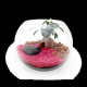 Kit Terrarium DIY Grand modèle pour entreprises – Cadeau d’entreprise éco-responsable personnalisé – BCM Goodies