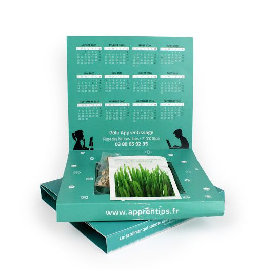 Carte Jardin personnalisable – Objet publicitaire écologique avec sachet de graines pour communication d’entreprise B2B