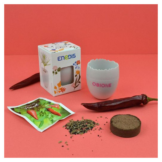 Kit œuf personnalisé – Objet publicitaire écoresponsable pour entreprises et événements professionnels | BCM Goodies