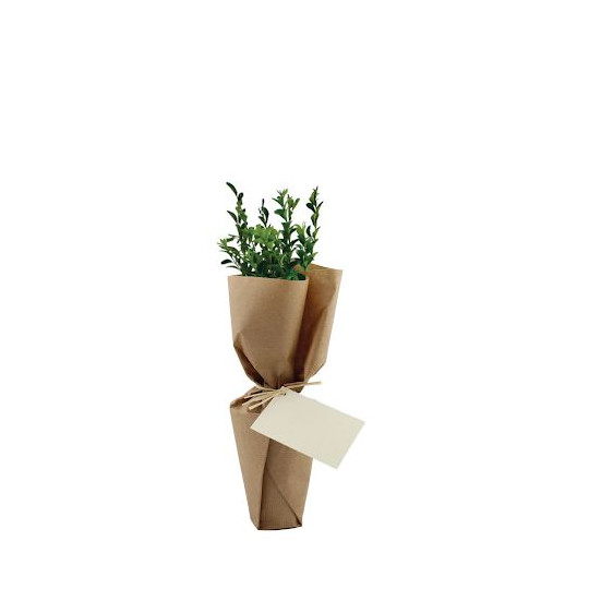 Arbre pot en fibre de bois prestige personnalisable – Cadeau d’entreprise écologique fabriqué en France