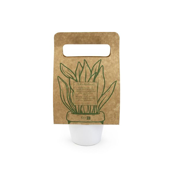 Plante portative personnalisable avec pot en céramique et emballage kraft – Objet publicitaire pour entreprises et événements