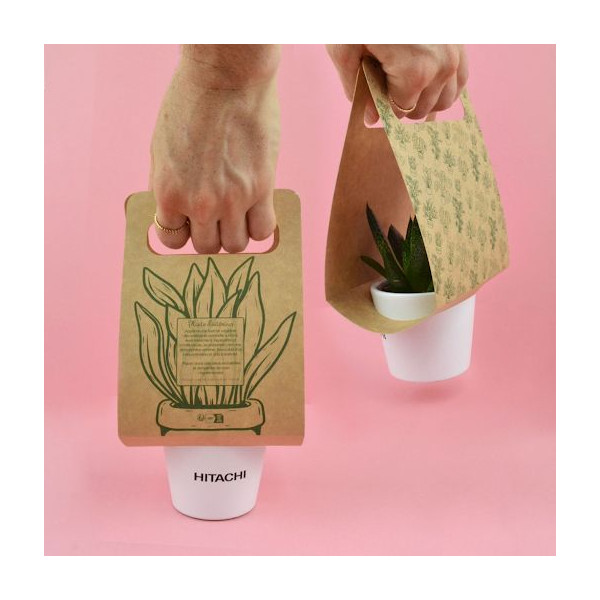 Plante portative personnalisable avec pot en céramique et emballage kraft – Objet publicitaire pour entreprises et événements