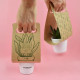 Plante portative personnalisable avec pot en céramique et emballage kraft – Objet publicitaire pour entreprises et événements