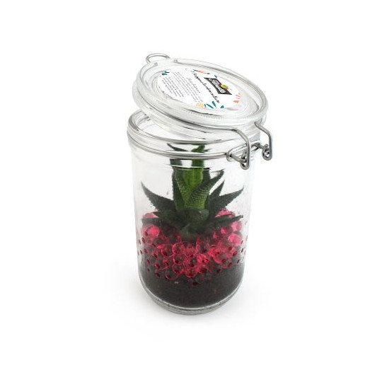 Bocal 75cl avec plante verte et billes d'eau de couleur - BCM Goodies