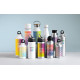Bouteille double paroi 500ml CHAN - Accessoire de voyage pratique et durable