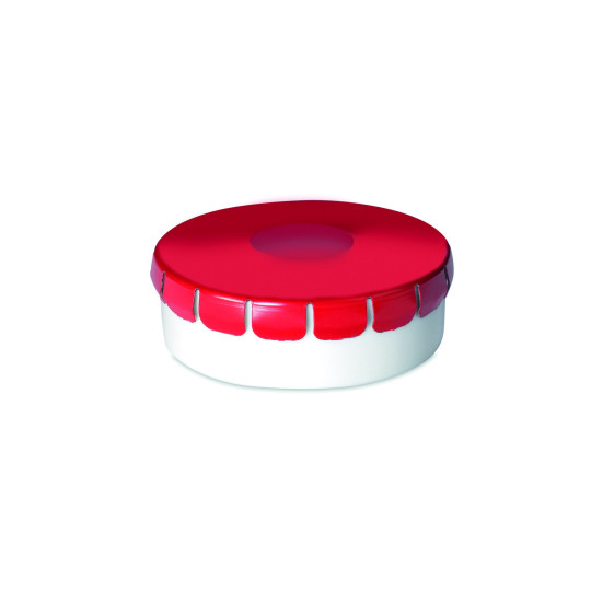 Boîte de menthes sans sucre MINTO - Accessoire pratique pour une haleine fraîche toute la journée