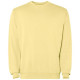 Pull ras du cou Jaya unisexe - Sweat délavé de qualité | BCM Goodies