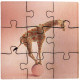 Puzzle personnalisable en bois certifié Origine France Garantie pour communication d’entreprise – marquage UV ou laser – BCM Goo