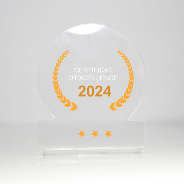 Trophée personnalisable fabriqué en France pour entreprises et événements professionnels – BCM Goodies