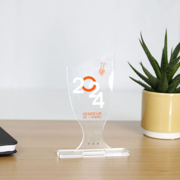 Trophée en plexiglas personnalisé Origine France Garantie – Coupe acrylique 12x8 cm pour entreprises et associations