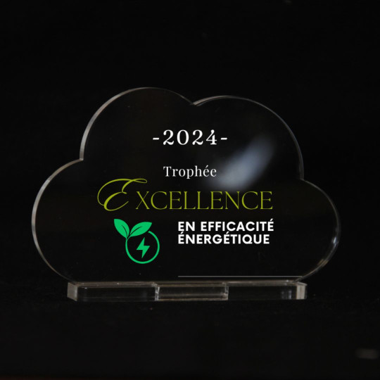 Trophée en plexiglas NUAGE personnalisable – Fabrication française certifiée pour événements professionnels