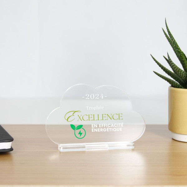 Trophée en plexiglas NUAGE personnalisable – Fabrication française certifiée pour événements professionnels