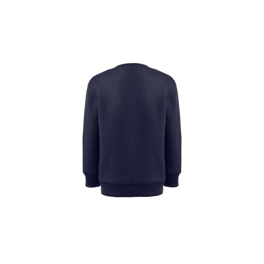 Sweat-shirt enfant en coton et polyester recyclés THC DELTA KIDS - Personnalisable | BCM Goodies