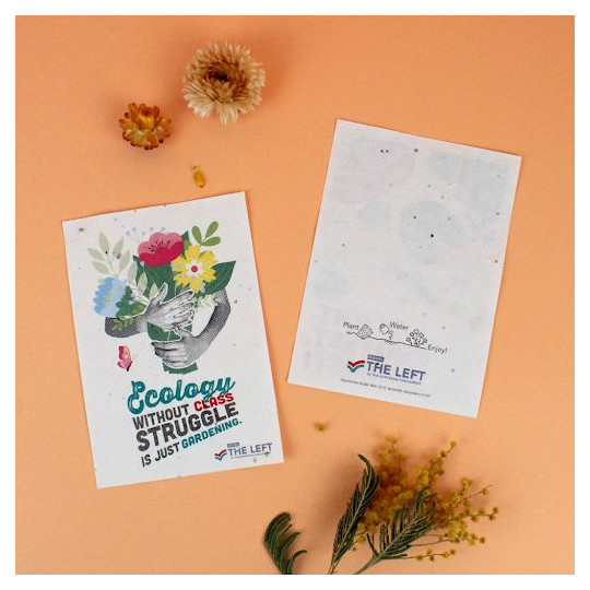 Papier graines A6 120g recto verso personnalisable – Support de communication écologique pour entreprises et associations