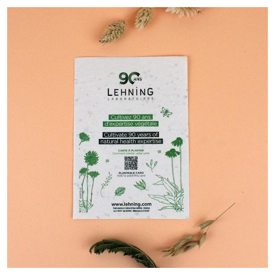 Papier graines A6 80g personnalisable - Support de communication écologique pour entreprises