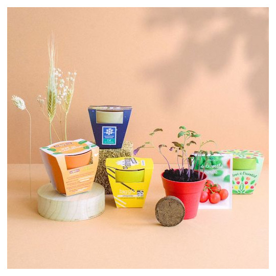 Kit de plantation Pot Bambou personnalisable – Objet publicitaire écologique pour entreprises et événements | BCM Goodies