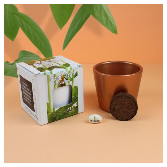 Kit de plantation graine gravée personnalisable pour entreprises - BCM Goodies