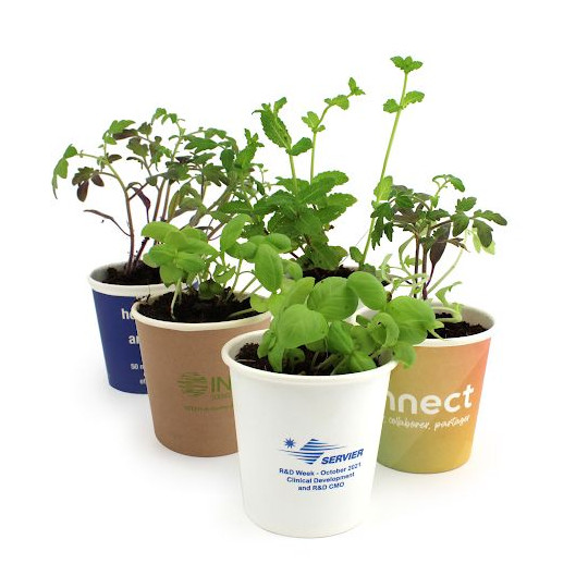 Kit de plantation Pot Carton personnalisable – Cadeau d’entreprise écologique assemblé en Anjou