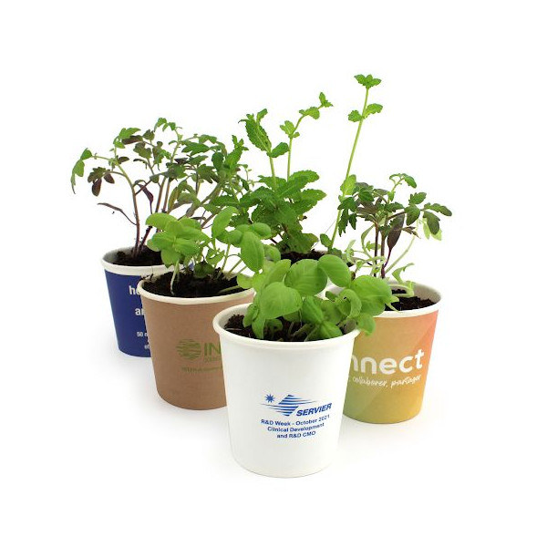 Kit de plantation Pot Carton personnalisable – Cadeau d’entreprise écologique assemblé en Anjou