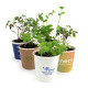 Kit de plantation Pot Carton personnalisable – Cadeau d’entreprise écologique assemblé en Anjou