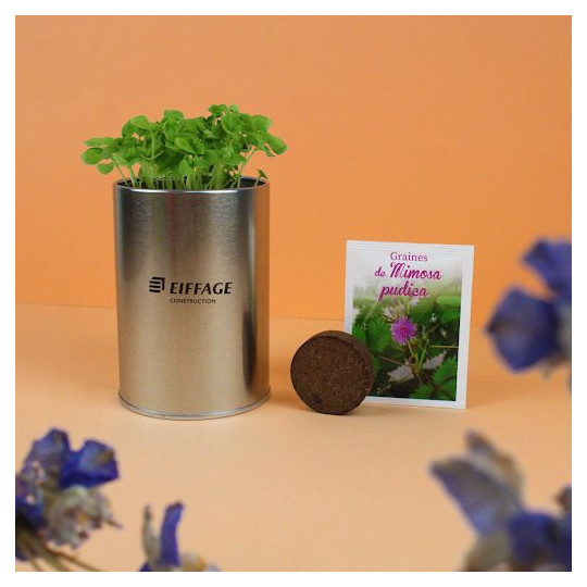 Kit de plantation Canette graines alu personnalisable – Cadeau d’entreprise écologique assemblé en Anjou, matières Europe, 125g,