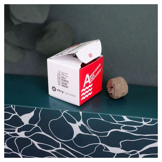 Bombe à graines en boîte personnalisable - Cadeau d’entreprise écologique BCM Goodies