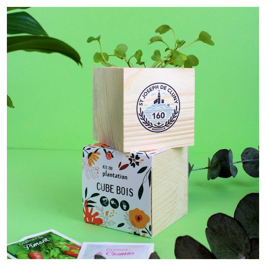 Cube bois Graines personnalisable – Cadeau d’entreprise écologique pour communication et événements professionnels | BCM Goodies
