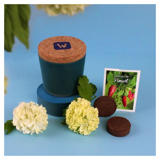Kit de plantation écologique en pot de bambou avec graines personnalisables – BCM Goodies