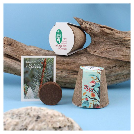 Kit plantation arbre pot fibre de bois personnalisé – Goodies écologiques pour entreprises | BCM Goodies
