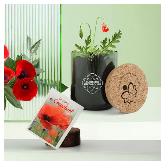 Kit de plantation personnalisable en bouteille recyclée – Goodies d’entreprise écologiques BCM Goodies